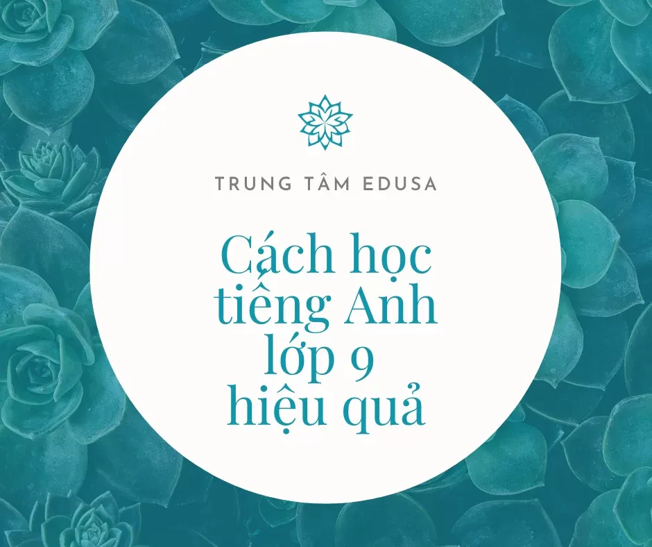 Cách học tiếng Anh 9 cho người mất gốc
