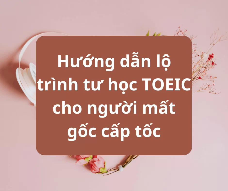 Lộ trình tư học TOEIC cho người mất gốc