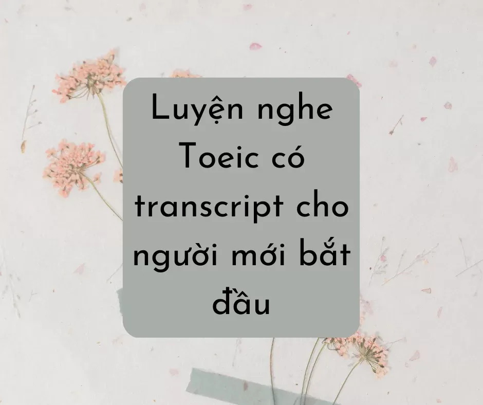 Luyện nghe Toeic có transcript