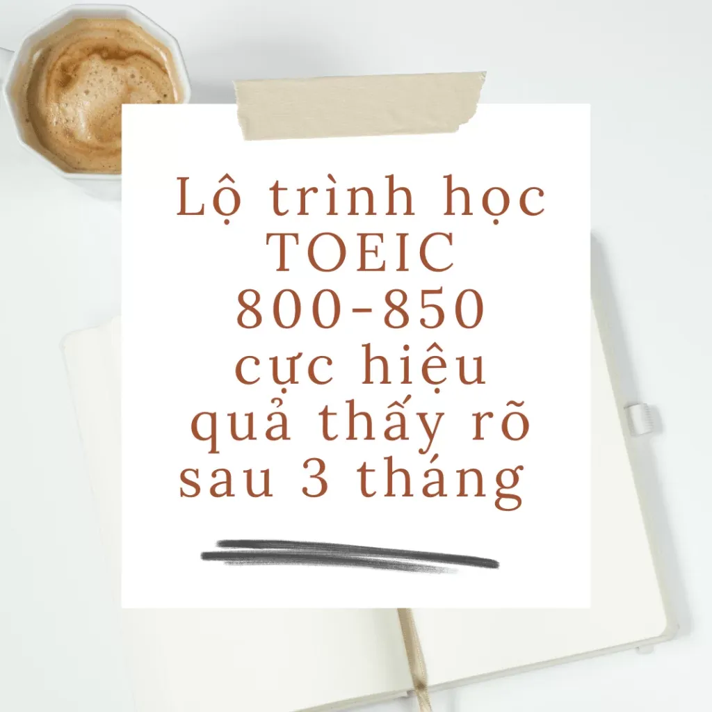 Lộ trình học TOEIC 800