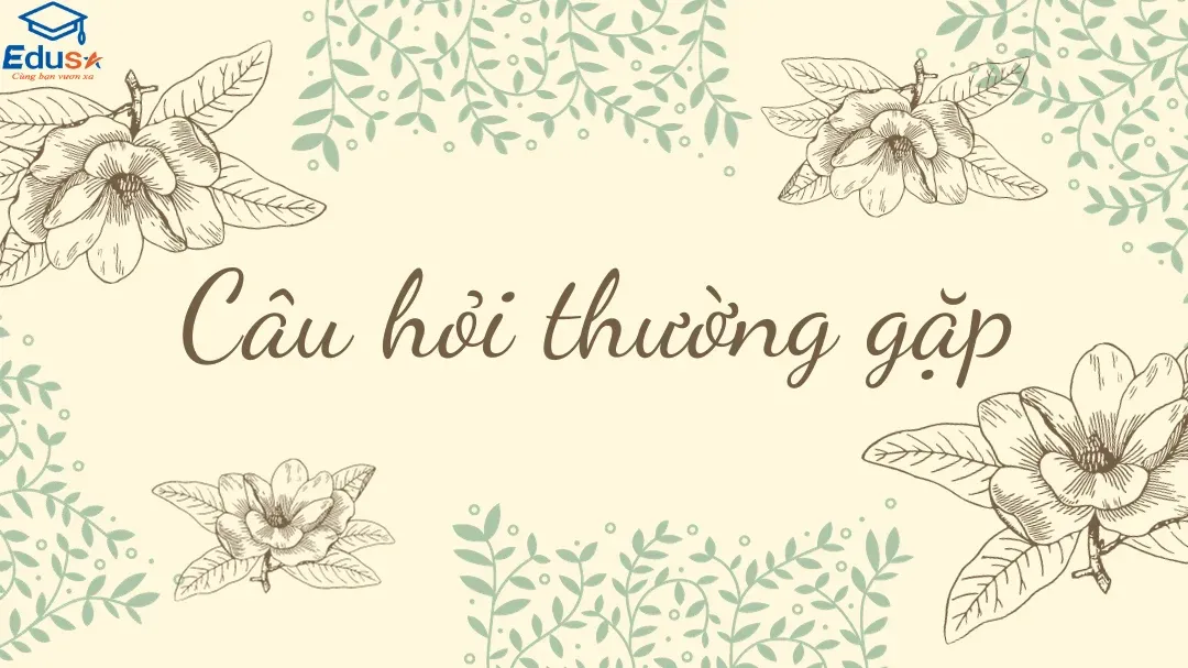 Câu hỏi thường gặp