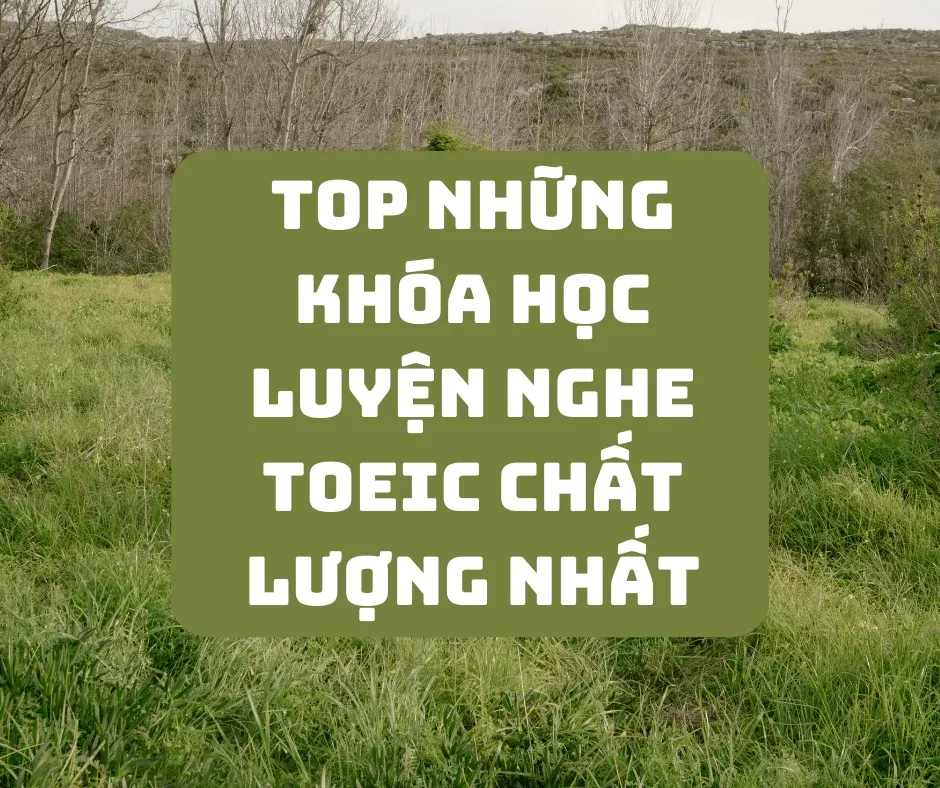 Khoá học luyện nghe TOEIC