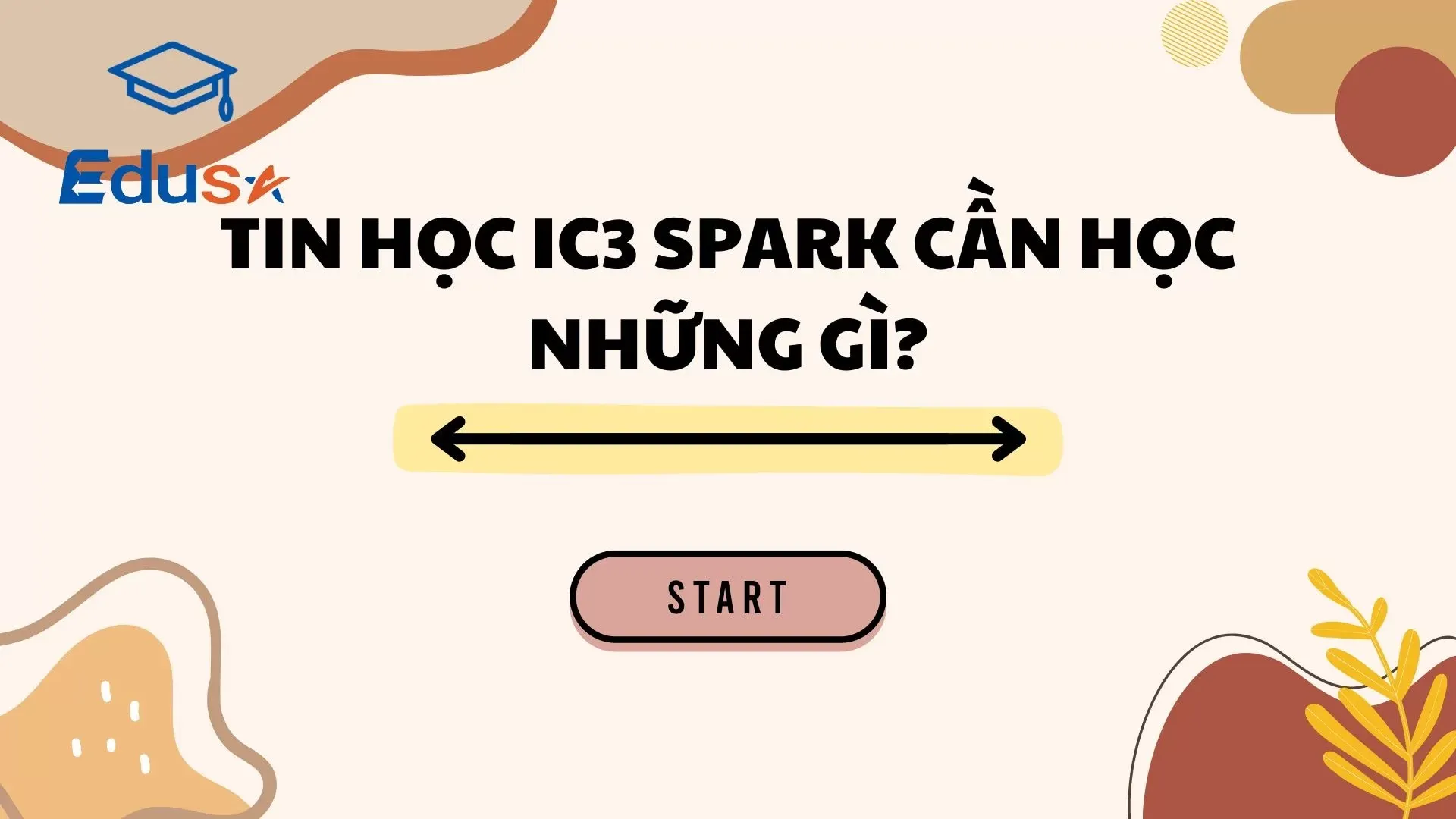 IC3 Spark học hiểu