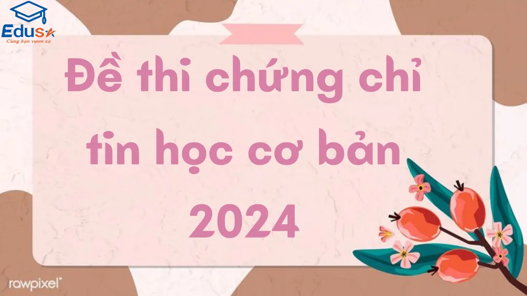 Đề thi chứng chỉ tin học cơ bản 2024