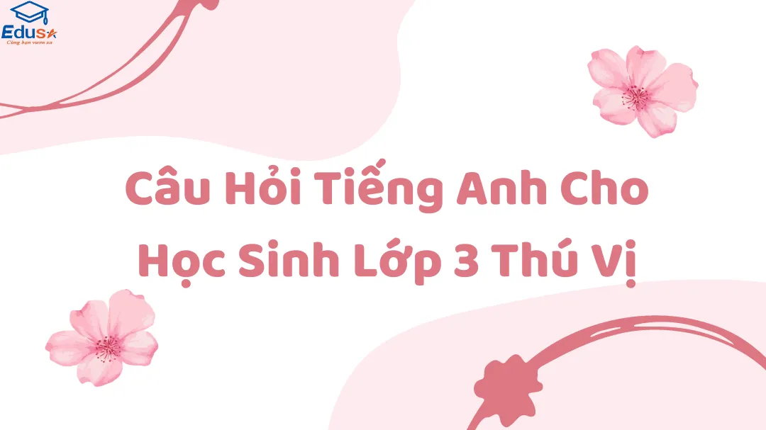 Câu Hỏi Tiếng Anh Cho Học Sinh Lớp 3 Thú Vị