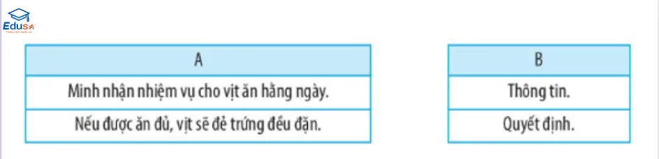 Giải vở bài tập tin học lớp 3 - Bài 1: Thông tin và quyết định