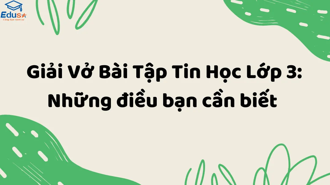 Giải Vở Bài Tập Tin Học Lớp 3: Những điều bạn cần biết 