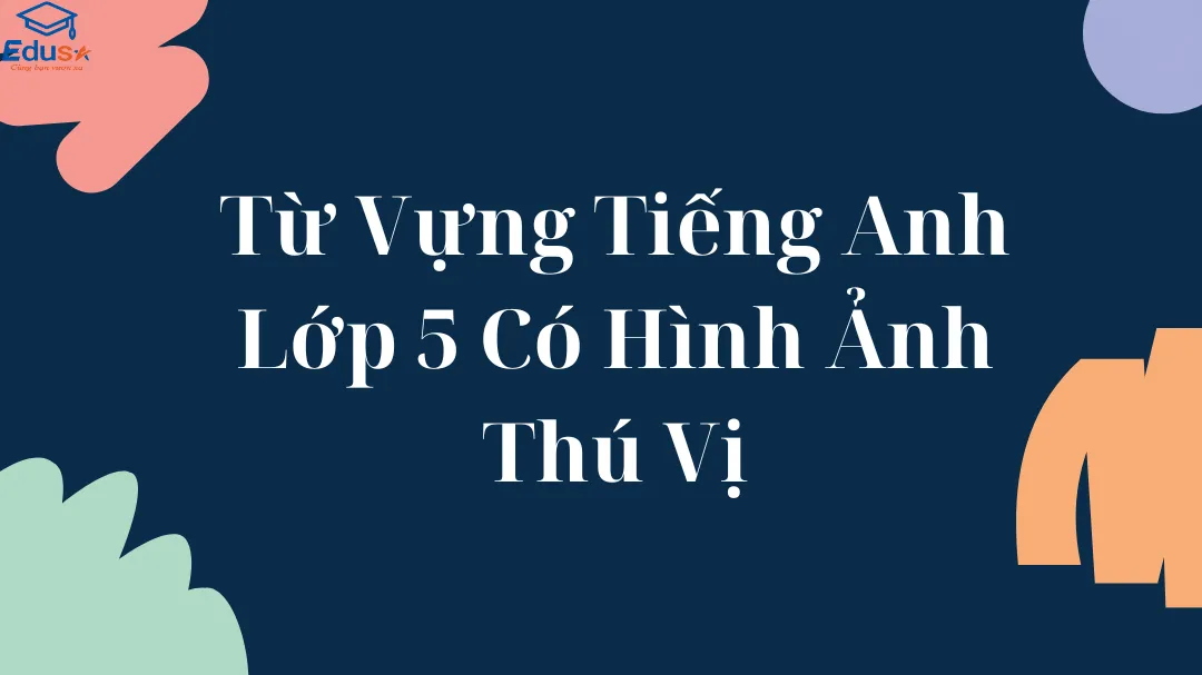 Từ Vựng Tiếng Anh Lớp 5 Có Hình Ảnh Thú Vị