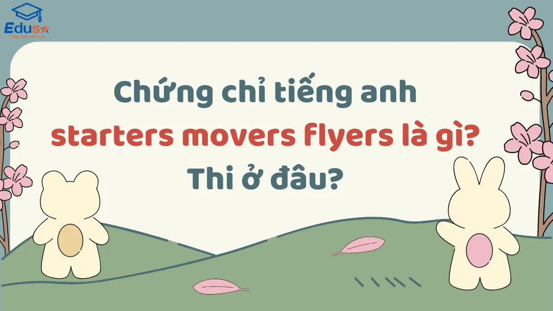 Chứng chỉ tiếng anh starters movers flyers là gì? Thi ở đâu?